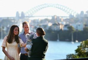 Kate and William patted a young male koala at Taronga Zoo - royal tour - Sydney.jpg